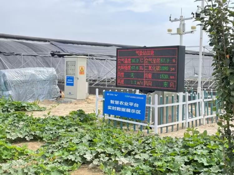 开元体育·(中国)官方网站在菜乡一部手机就能管好大棚以“智”变谋质变(图1)