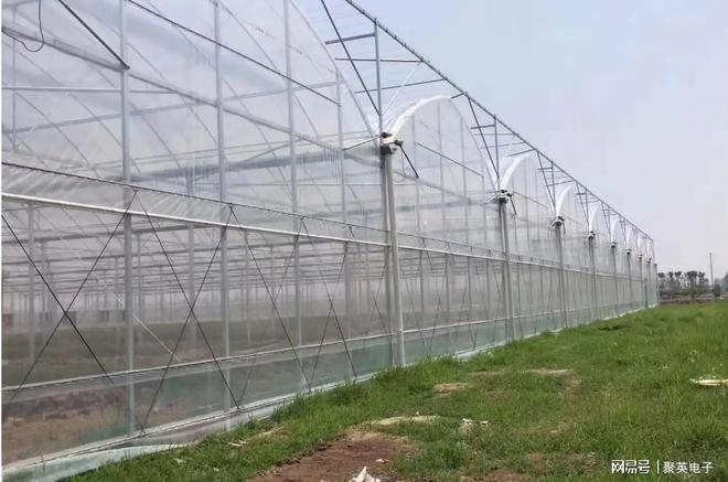 开元体育农业物联网：智能温室大棚与传统大棚对比智能控制(图9)