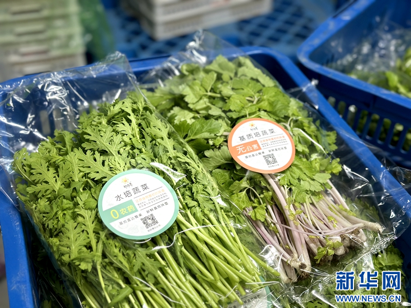 开元体育新华网辽宁频道(图6)