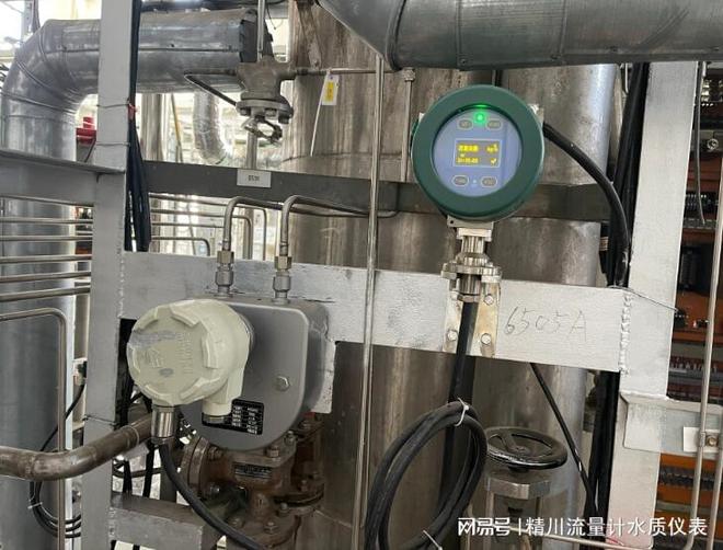 开元体育·(中国)官方网站质量流量计在生物发酵系统中应用：精川自动化助你提升效率(图2)