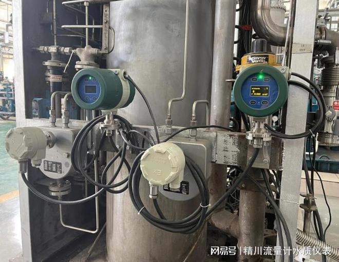 开元体育·(中国)官方网站质量流量计在生物发酵系统中应用：精川自动化助你提升效率(图1)