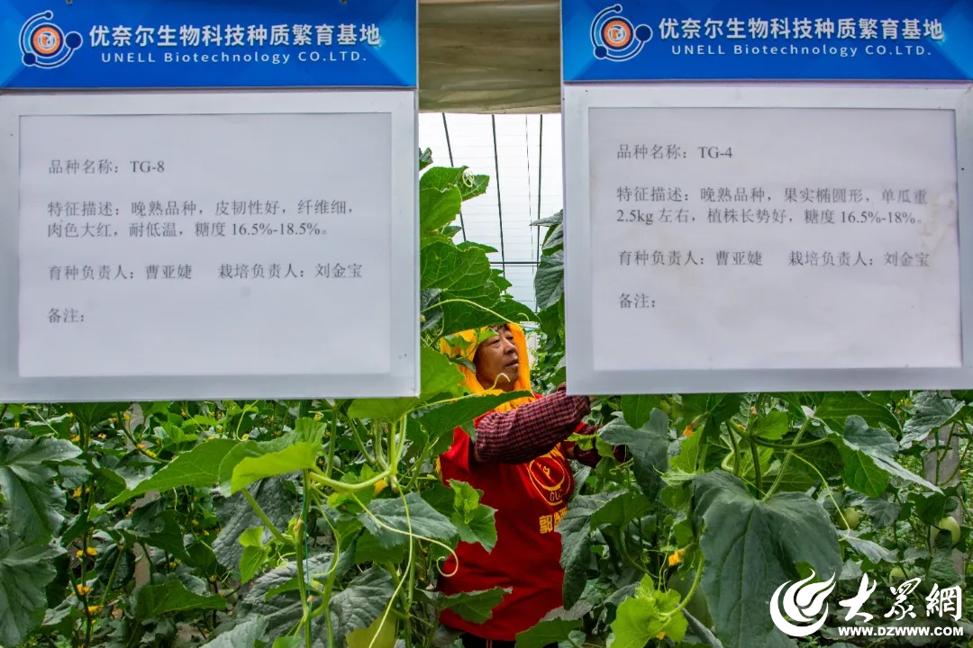 开元体育·(中国)官方网站潍坊寒亭区固堤街道：科技赋能向“新”而行激活农业新质生(图2)