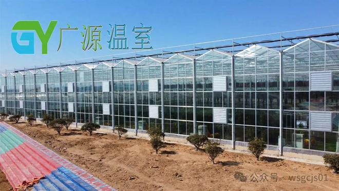 开元体育新型智能玻璃温室大棚的优点有哪些(图1)