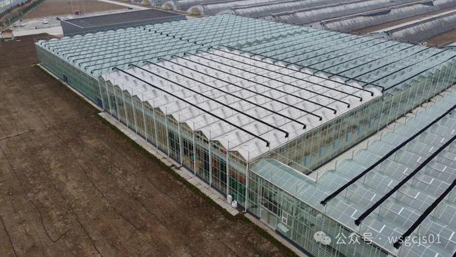 开元体育新型智能玻璃温室大棚的优点有哪些(图3)