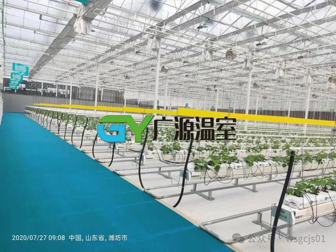 开元体育新型智能玻璃温室大棚的优点有哪些(图2)