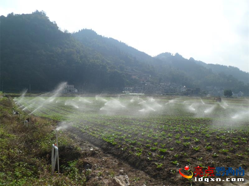 开元体育·(中国)官方网站安龙县白水河村“智能+手控”打造现代科技高效农业产业(图2)