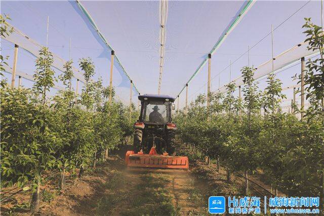 开元体育“苹果小镇”日日新(图2)