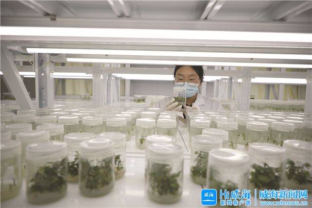 开元体育“苹果小镇”日日新(图3)