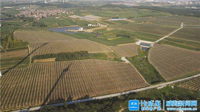 开元体育“苹果小镇”日日新(图4)