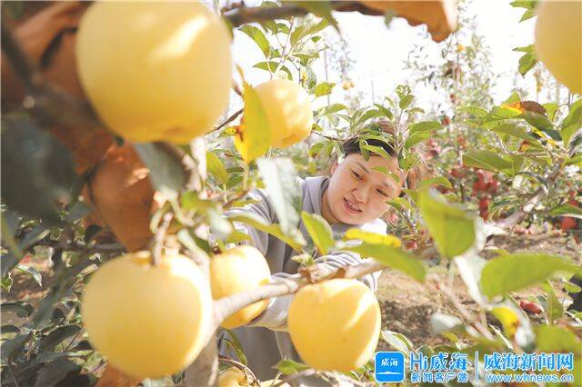 开元体育“苹果小镇”日日新(图6)
