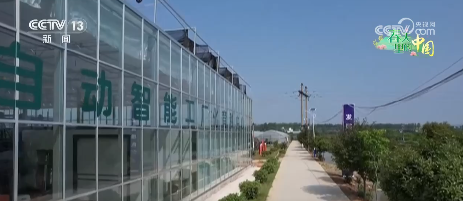 开元体育面朝黄土背朝天→智慧春耕 农业科技助力春耕生产提质加速(图5)