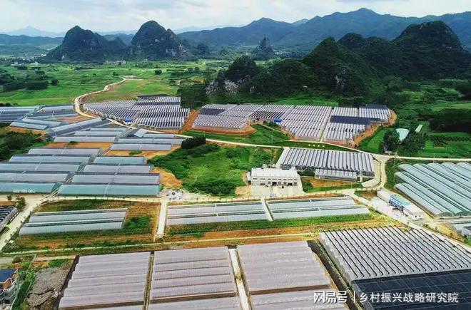 开元体育·(中国)官方网站设施农业发展模式对比与参考：政策分析报告(图1)