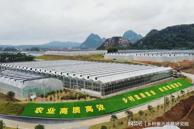 开元体育·(中国)官方网站设施农业发展模式对比与参考：政策分析报告(图2)