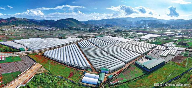 开元体育·(中国)官方网站设施农业发展模式对比与参考：政策分析报告(图3)